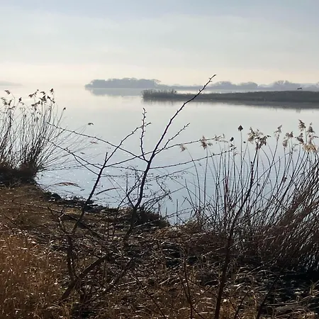 Riverside Retreat With Comfort