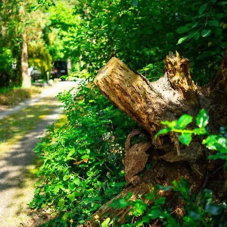 Riverside Retreat With Comfort Apartament