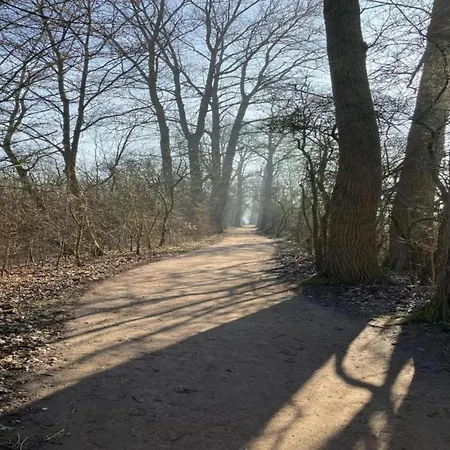 Riverside Retreat With Comfort *