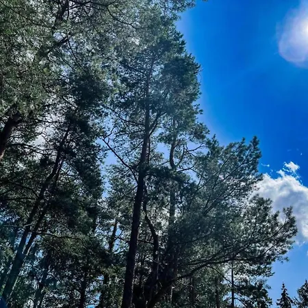 Riverside Retreat With Comfort